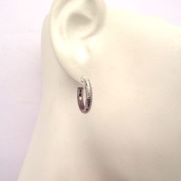 Silver Earrings