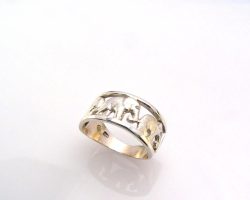 agr066-aa